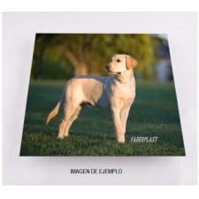 Cadres plexiglas IMPRIMÉ