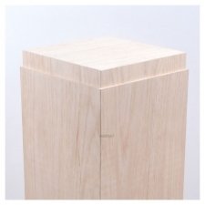 VITRINE PLEXIGLAS BALSA