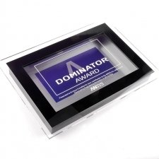 Tropheé plexiglas ANSYS