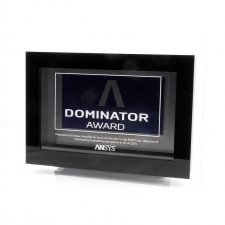 Tropheé plexiglas ANSYS