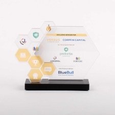 Trophée en méthacrylate BLUEBULL