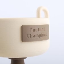 Coupe FOOTBALL en méthacrylate et PLA impression 3D