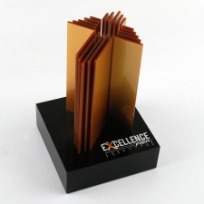 Acrylic Plexiglas Trophy Excellence Project
