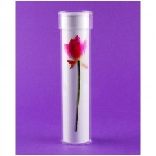 Tube plexiglas DOCUMENTS