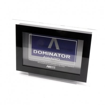Tropheé plexiglas ANSYS