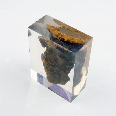 Occlusion ROCHE SAUVAGE