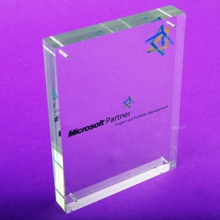 Tombstone Plexiglas MICROSOFT