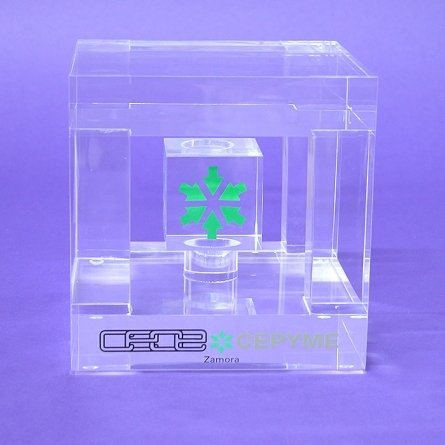 Trophée Plexiglas CEOE