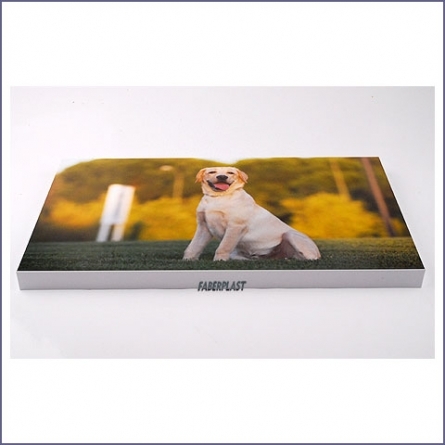 Cadre Foamapan Wilson