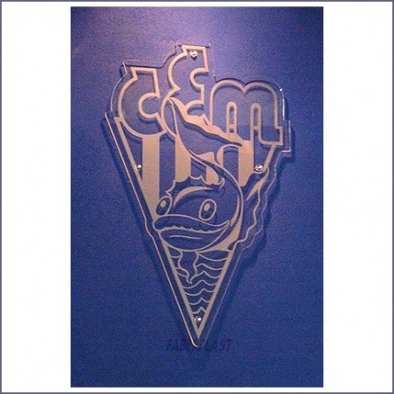 Plaque Plexiglas Logo D'entreprise Cem